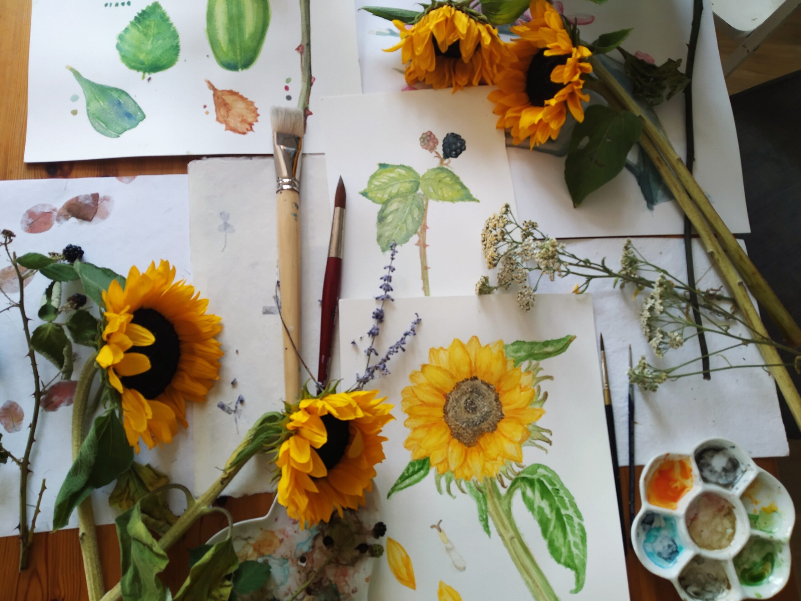 Creative painting classes for adults Het Koorenhuis Het Koorenhuis